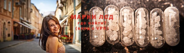 гидра Арсеньев