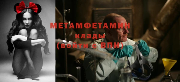 гидра Аркадак