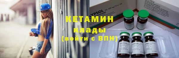 гидра Арсеньев