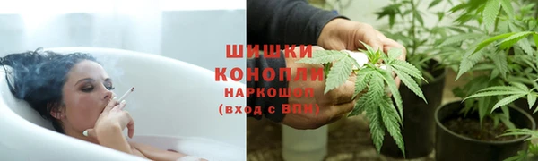 гидра Арсеньев