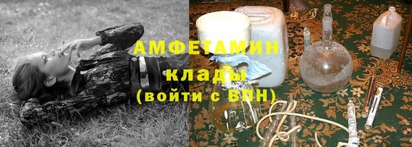 гидра Аркадак