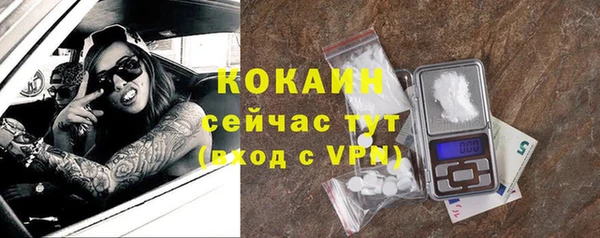 гидра Арсеньев