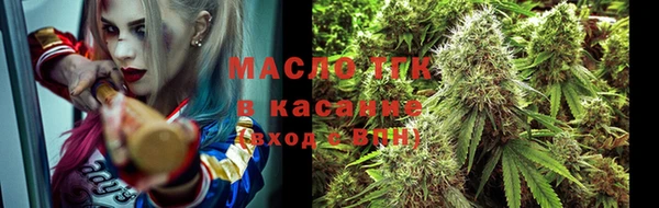 гидра Арсеньев