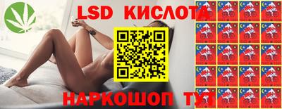 молекула духа Коммунар