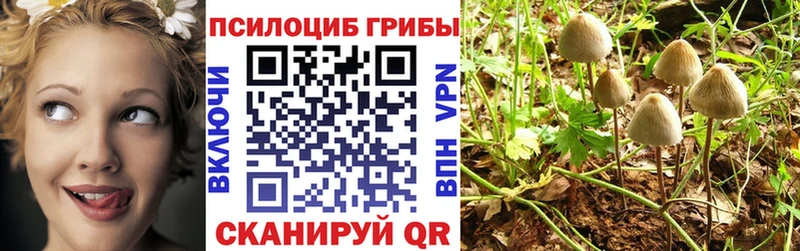 МЕГА ссылки  Клин  Псилоцибиновые грибы Magic Shrooms 