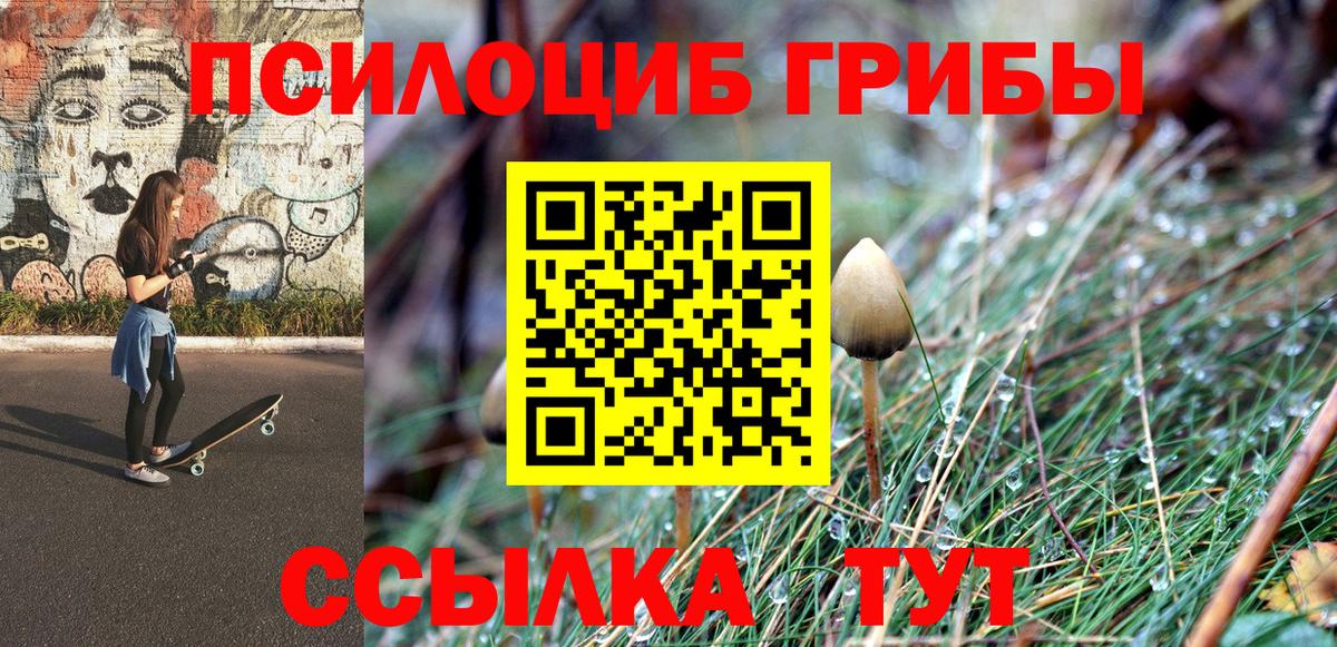 Клин  Галлюциногенные грибы мицелий  Вход с VPN 